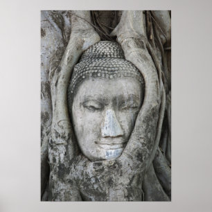Sandstone head of Buddha surrounded by tree Poster