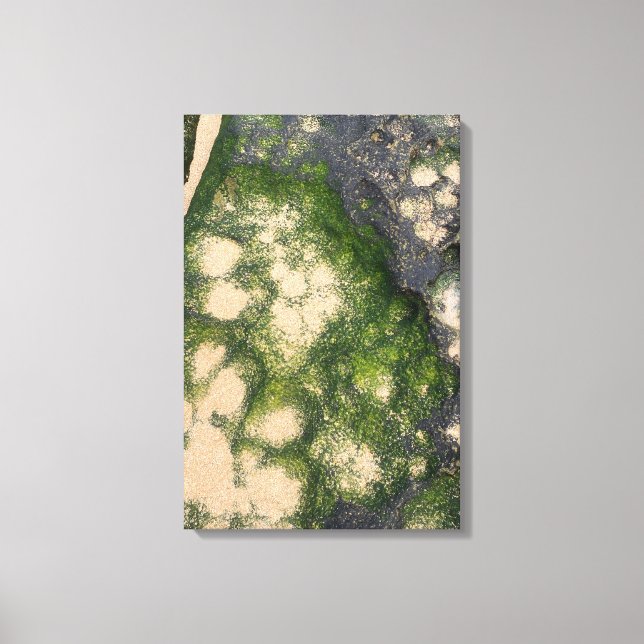 Sandstone Rock Formation with Emerald Green Moss Canvas Print (Front)