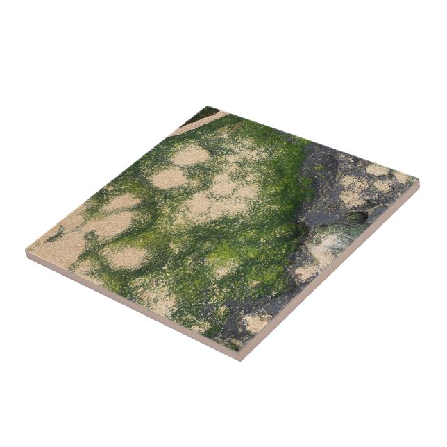 Sandstone Rock Formation with Emerald Green Moss Tile (Side)