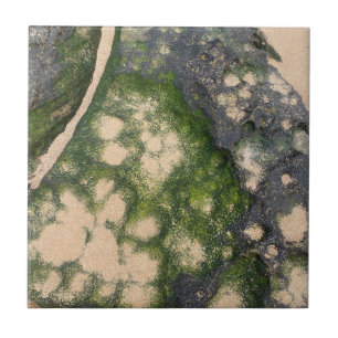 Sandstone Rock Formation with Emerald Green Moss Tile