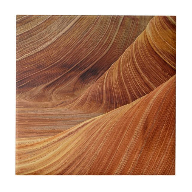Sandstone Rock Formations Tile (Front)