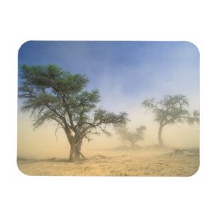 Sandstorm In Kalahari Desert, Kgalagadi Magnet