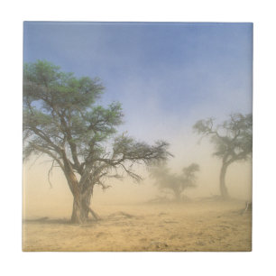 Sandstorm In Kalahari Desert, Kgalagadi Tile