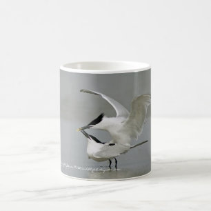 Sandwich Terns on Texas Coast Coffee Mug
