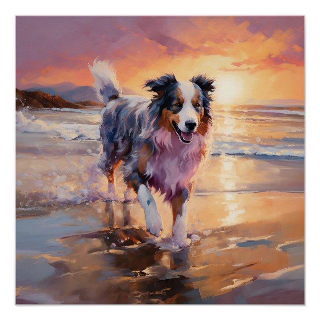 Sandy Australian Shepherd Dog on Beach Sunset  Poster (Front)