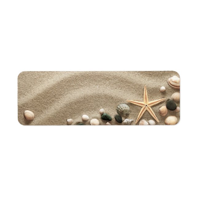 Sandy Beach Background With Shells And Starfish (Front)