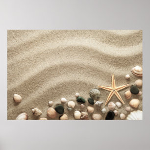 Sandy Beach Background With Shells And Starfish Poster