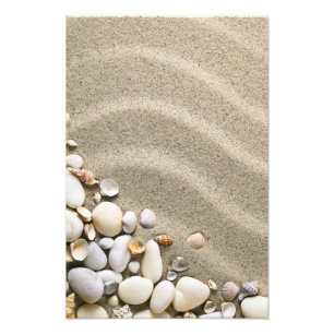 Sandy Beach Background With Shells And Stones Photo Print