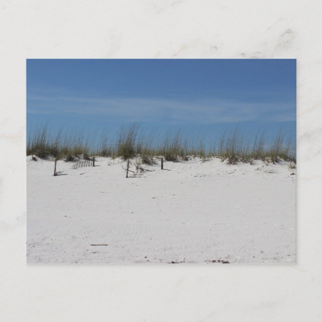 Sandy Beach Postcard (Front)