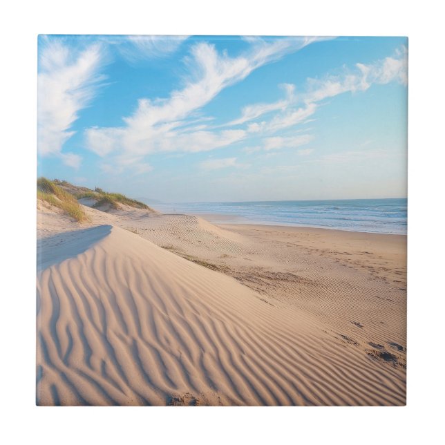 Sandy Beach Tile (Front)