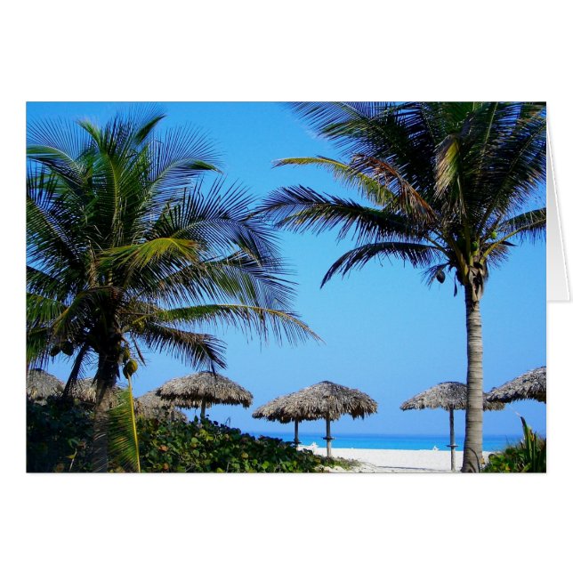 Sandy Beach With Palm Trees and An Ocean View (Front Horizontal)