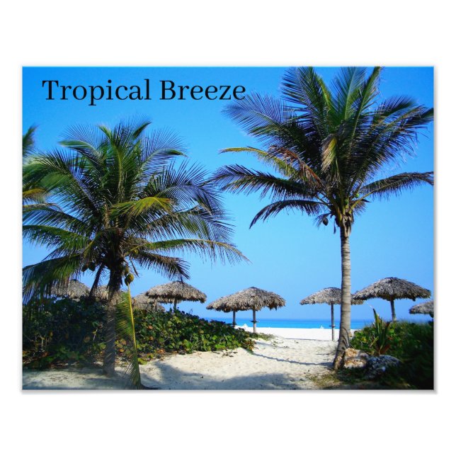 Sandy Beach With Palm Trees and An Ocean View Phot Photo Print (Front)