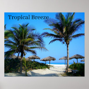 Sandy Beach With Palm Trees and An Ocean View Post Poster