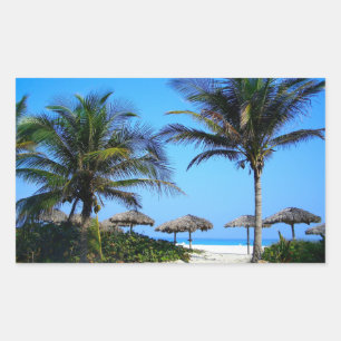 Sandy Beach With Palm Trees and An Ocean View Rectangular Sticker