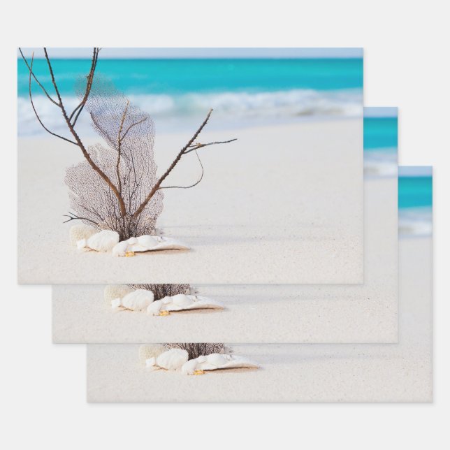 Sandy Beach with White Seashells Wrapping Paper Sheet (Set)