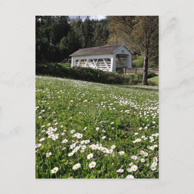 Sandy Cr. Covered Bridge Postcard (Front)