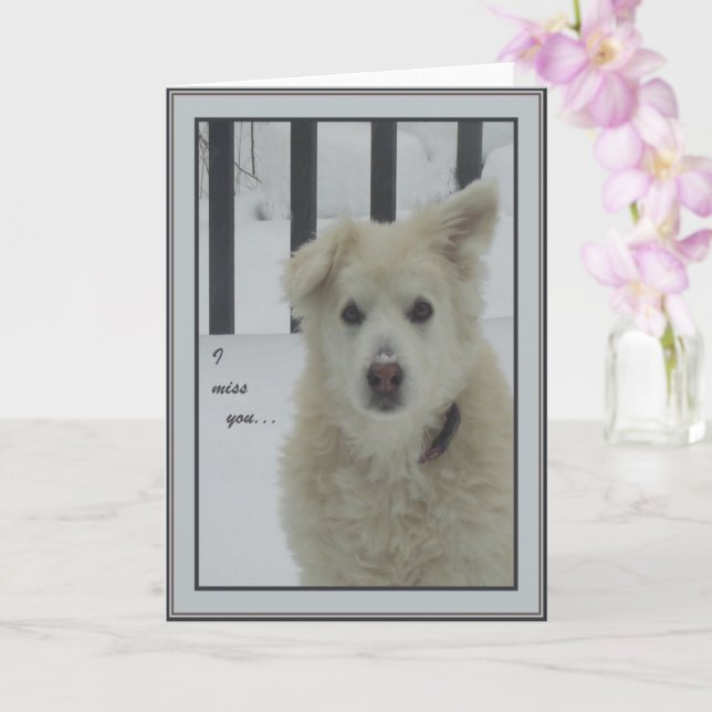 *Sandy Dog - I Miss You Card (Orchid)
