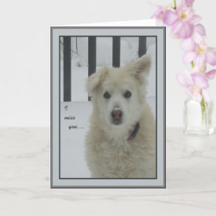 *Sandy Dog - I Miss You Card