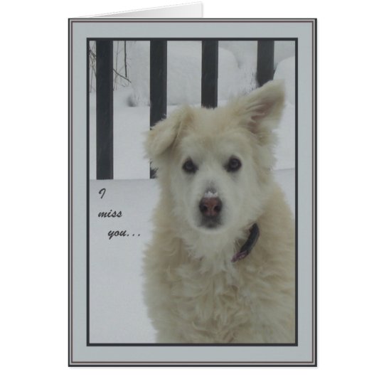 *Sandy Dog - I Miss You Card