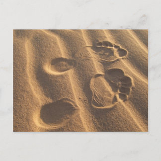 SANDY FEET POSTCARD
