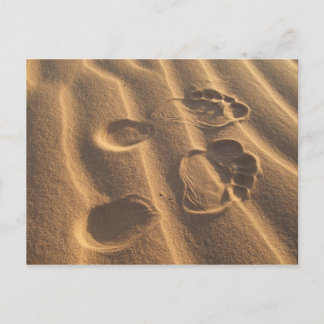 SANDY FEET POSTCARD