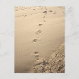 Sandy Footprints Postcard