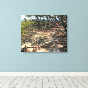 Sandy Path through the Mangroves Canvas Print