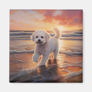Sandy Paws Bichon Frise Dog on Beach Sunset  Magnet