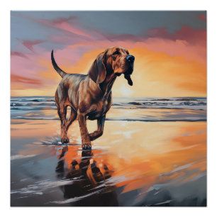 Sandy Paws Bloodhound Dog on Beach Sunset  Poster