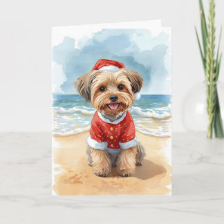 Sandy Paws & Shih Tzu Claus – A Beach Christmas Card