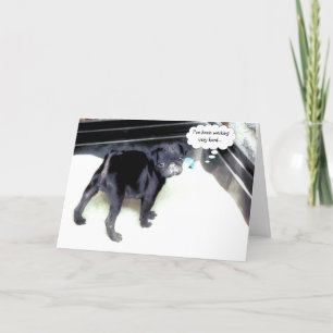 Sandy Pug Happy Birthday Greeting Card