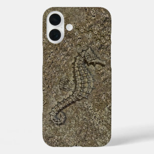 Sandy Textured Seahorse Photograph iPhone 16 Plus Case