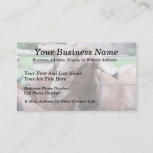 Sandy The Goat At The Gate Business Card