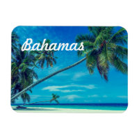 Sandy White Beach with Tropical Palms Bahamas