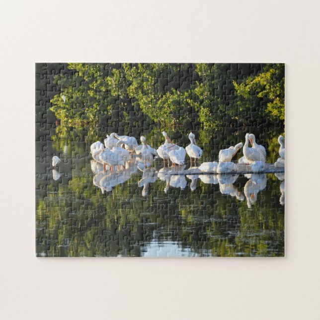 Sanibel Island  Florida. Jigsaw Puzzle (Horizontal)