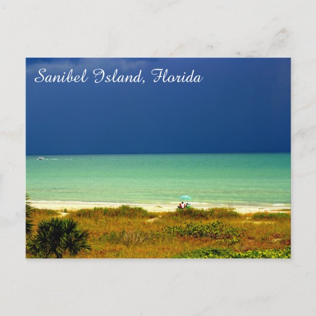 Sanibel Island, Florida, Postcard (Front)