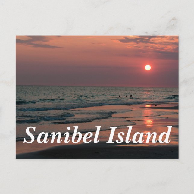 Sanibel Island Postcard (Front)