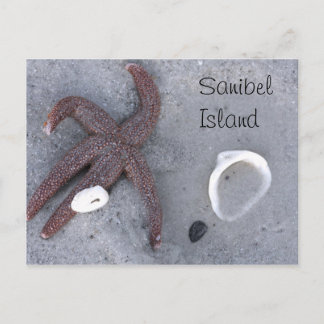 Sanibel Island Starfish and Shell Postcard