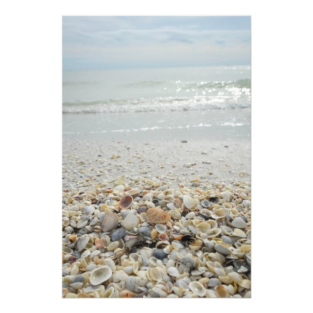 Sanibel Shells Photo Print (Front)