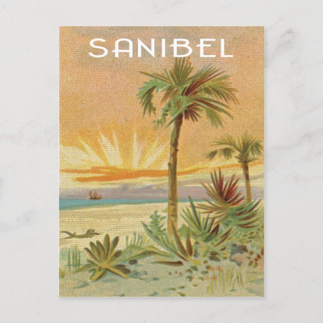 Sanibel vintage beach scene postcard (Front)
