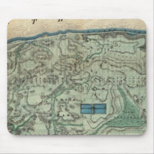 Sanitary and Topographical Map of New York City Mouse Mat
