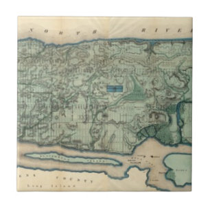 Sanitary and Topographical Map of New York City Tile