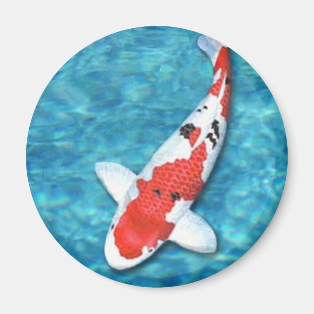 Sanke Magnet (Front)