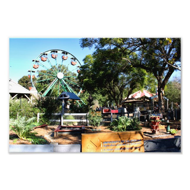 Santa Ana Zoo Photo Print (Front)
