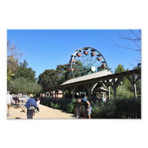 Santa Ana Zoo Photo Print