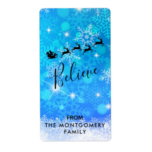 Santa and his Flying Reindeer - Believe Gift