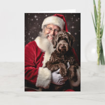 Santa and Labradoodle