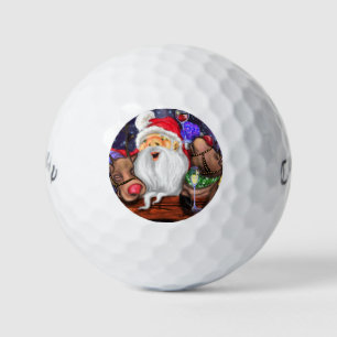 Santa and Reindeers Funny Christmas Golf Balls