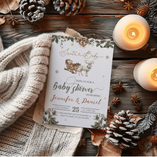 Santa Baby Christmas Green Red Winter Baby Shower Invitation