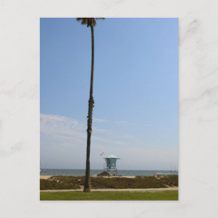 Santa Barbara, California Postcard